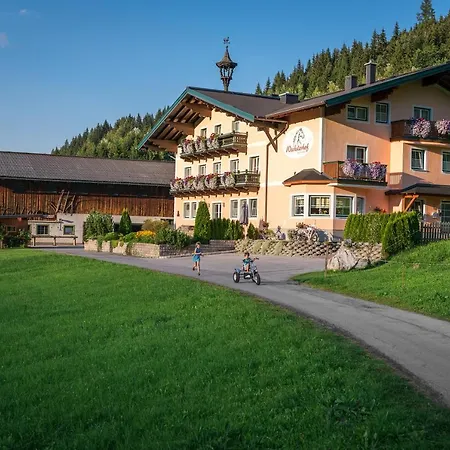 Wechslerhof Konukevi Flachau
