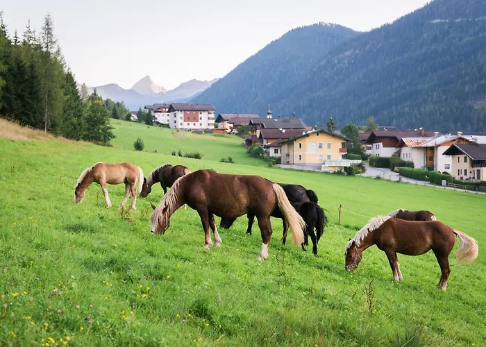 Wechslerhof Affittacamere