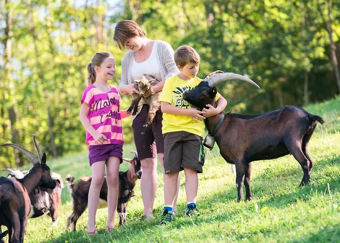 Maison d'hôtes Wechslerhof 3*